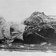 Cuerpo de Rasputín tras recuperarlo del río. Wikimedia Commons